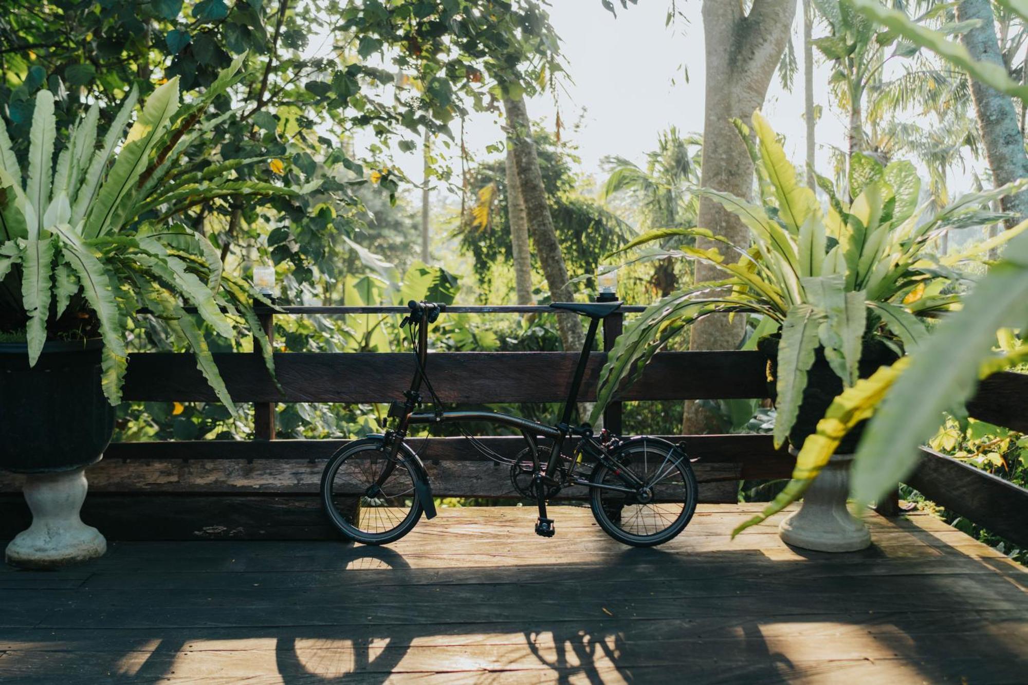 Resort Alam Penari Ubud